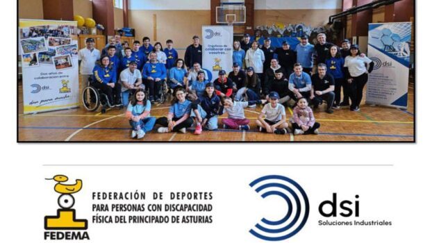 Fedema DSI